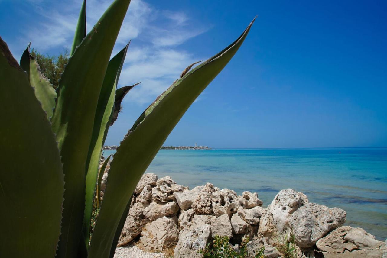 Aurelia Sea View Bed & Breakfast Torre Canne Dış mekan fotoğraf