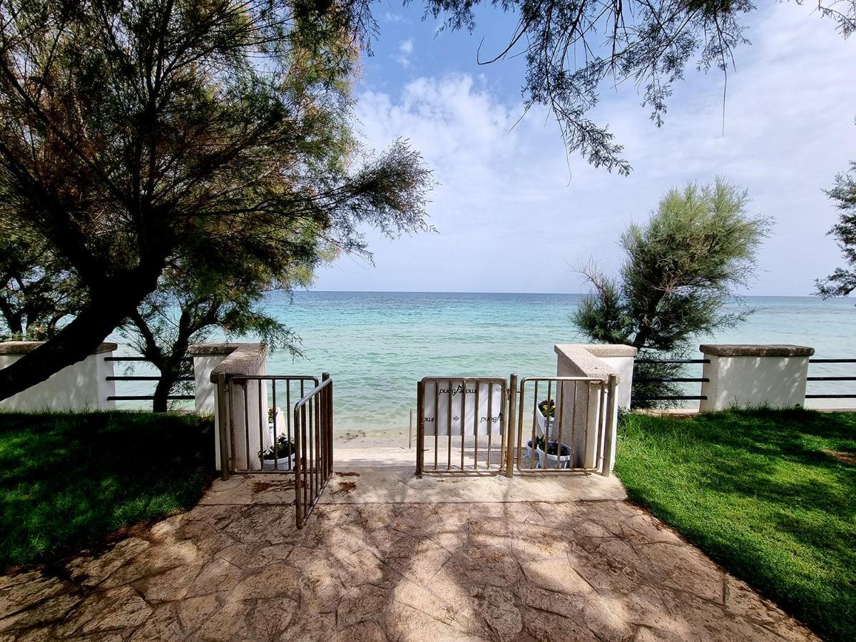 Aurelia Sea View Bed & Breakfast Torre Canne Dış mekan fotoğraf